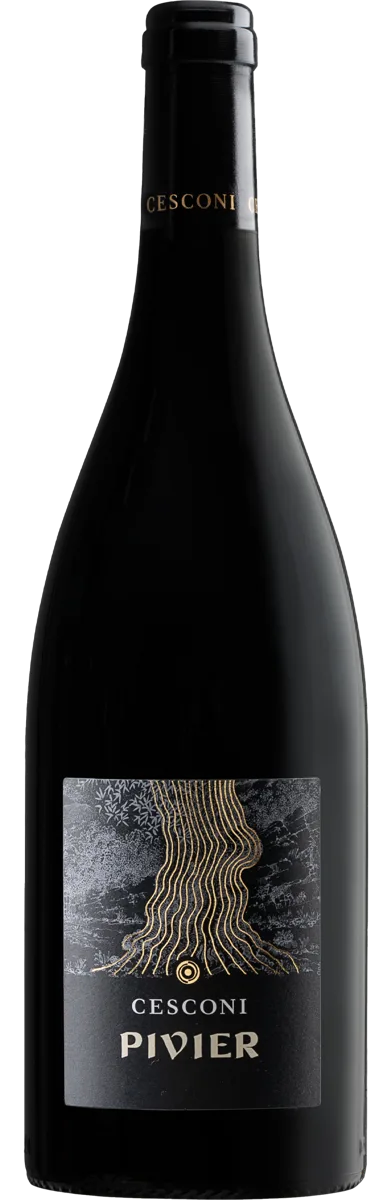 Pivier Trentino DOC Merlot Riserva