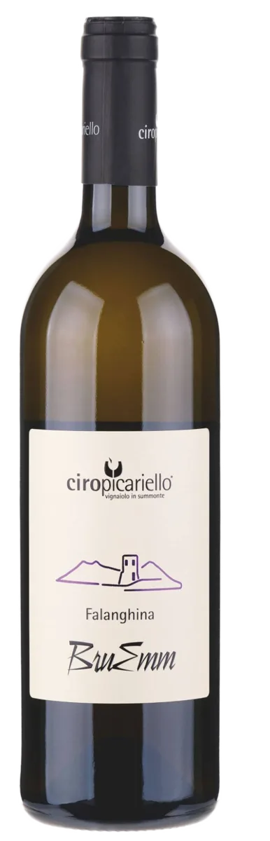 Campania Falanghina