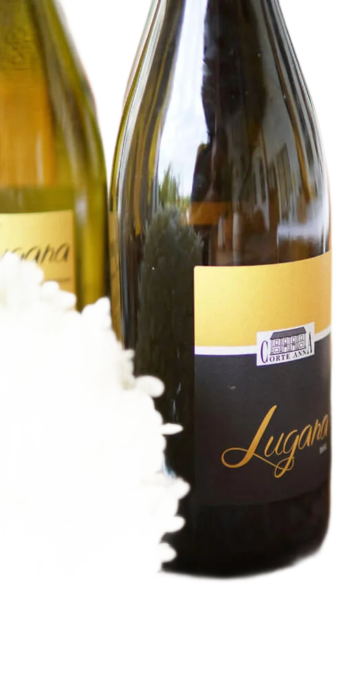 Lugana Doc