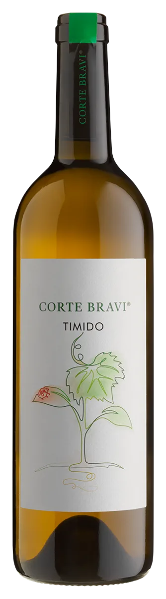 Timido