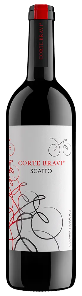 Scatto