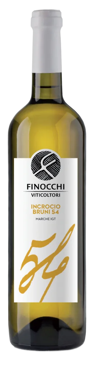 INCROCIO BRUNI 54 dei Castelli di Jesi D.O.C. Classico