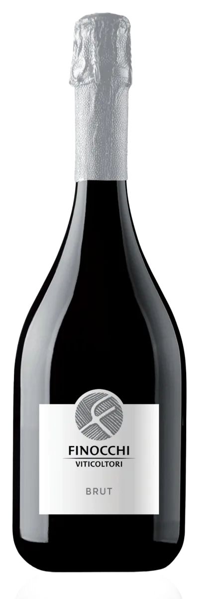 BRUTV erdicchio dei Castelli di Jesi D.O.C. Classico Superiore