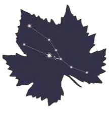 Le Iadi