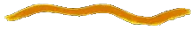 Chardonnay
