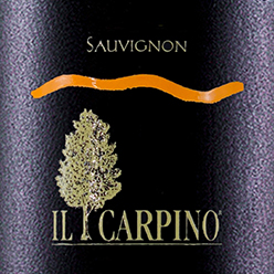 Sauvignon