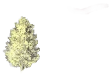Rosso Carpino