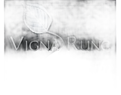 Ribolla Gialla Vigna Runc