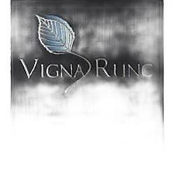 Malvasia Vigna Runc