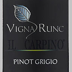 Pinot Grigio Vigna Runc