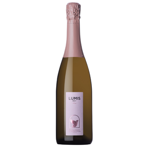 LUMIS ROSE