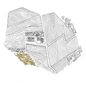 Il Biondo