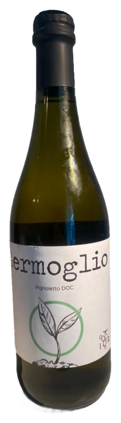Pignoletto