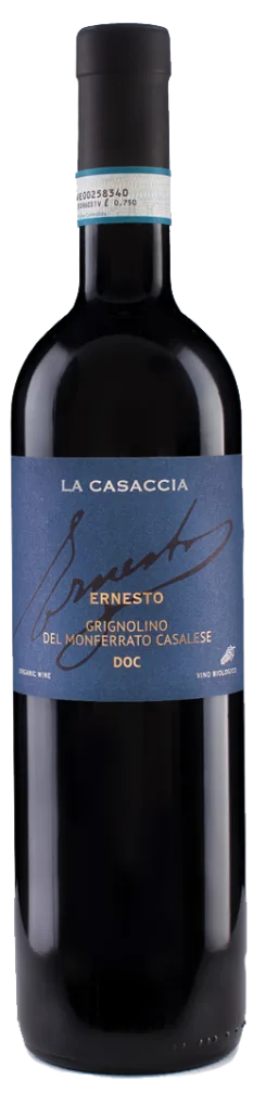 Ernesto