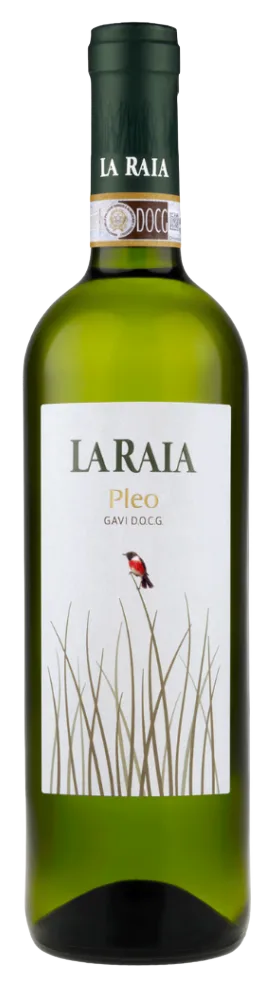 Gavi D.O.C.G. Pleo