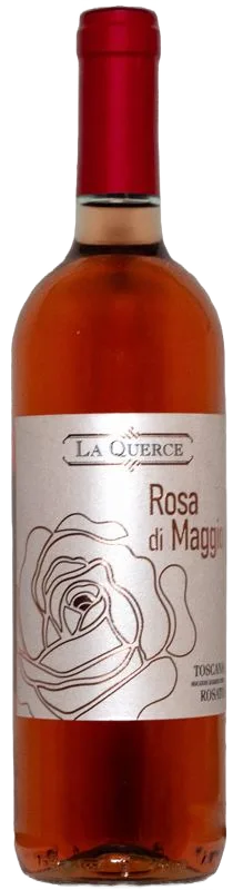 Rosa di Maggio