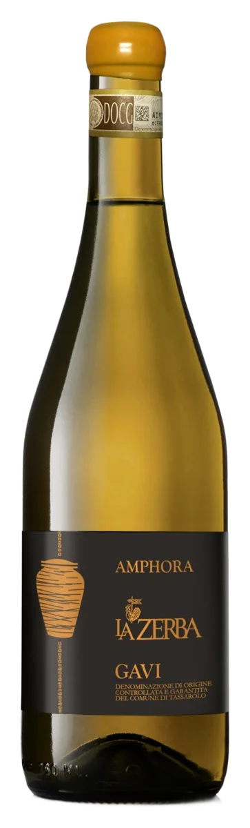 Gavi DOCG Anfora bio