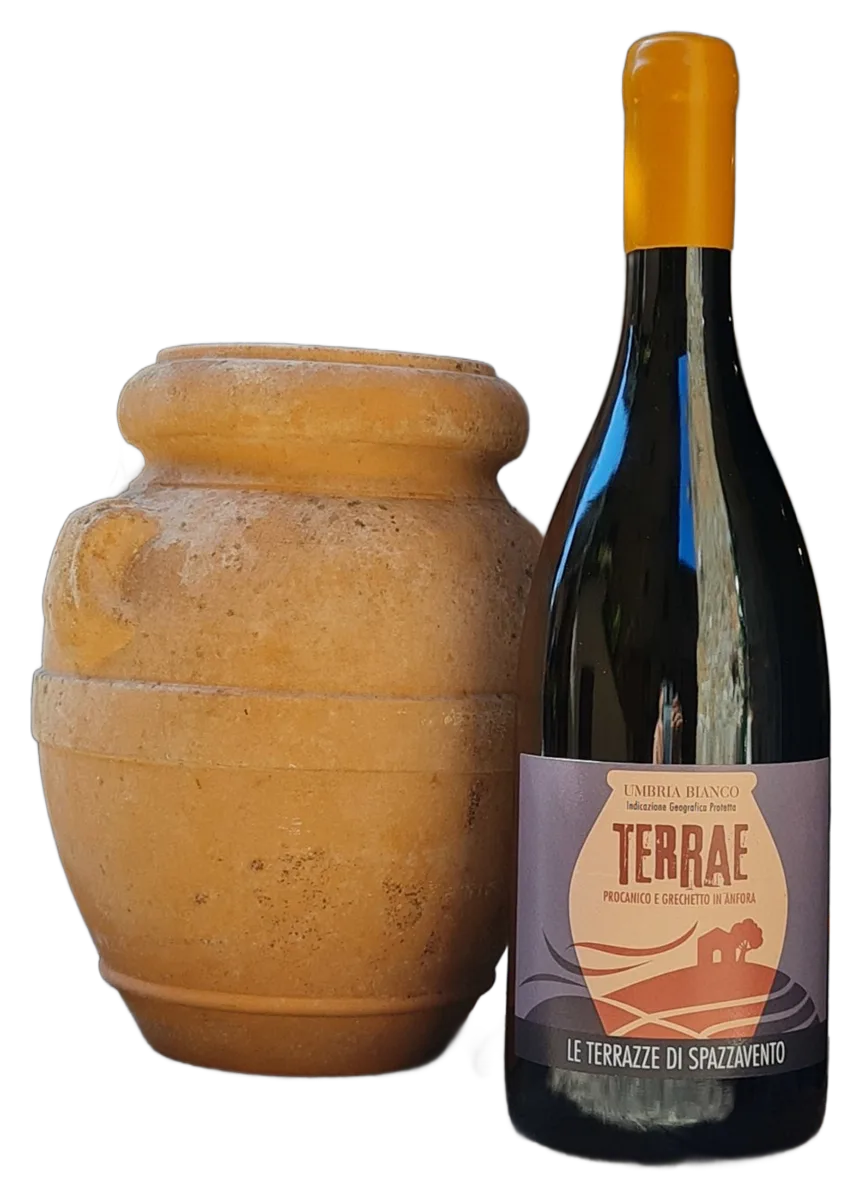 Terrae – Umbria IGT Bianco