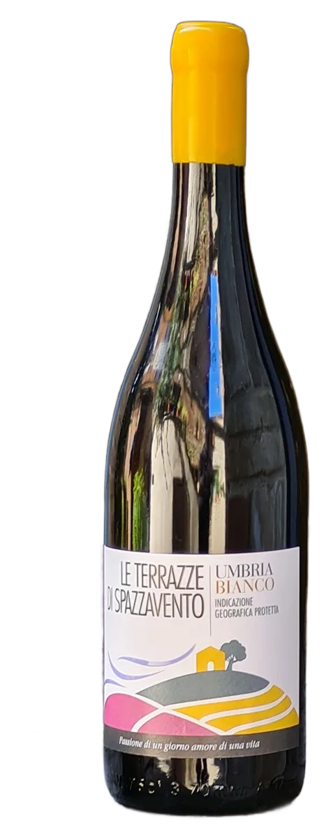 Le Terrazze di Spazzavento – Umbria IGT Bianco