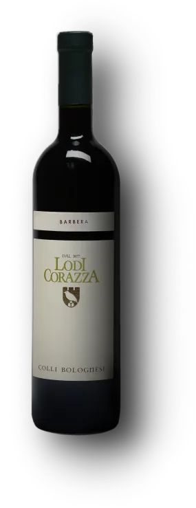 Barbera