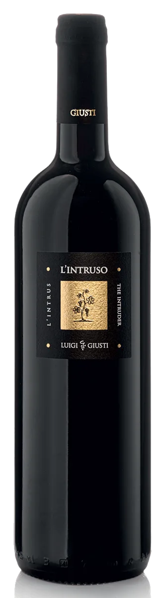 L'Intruso