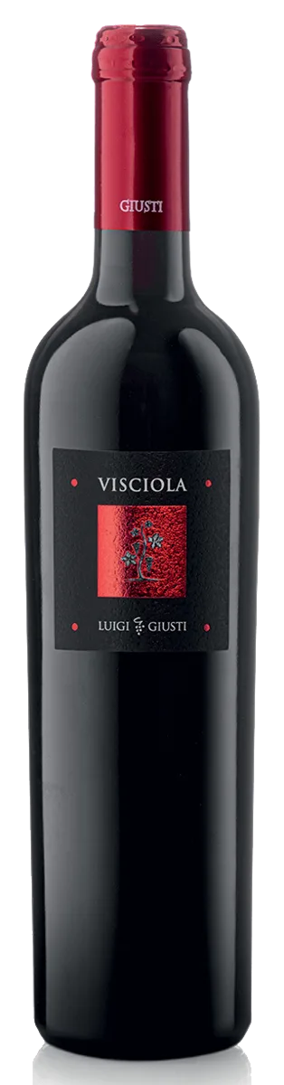 Visciola