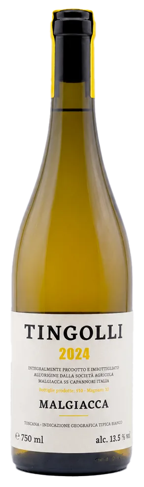 Tingolli