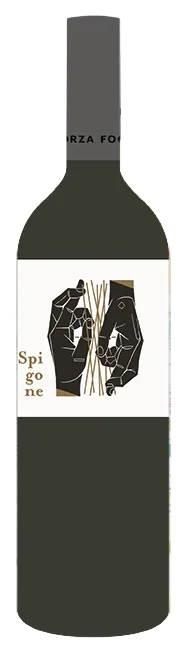 Spigone