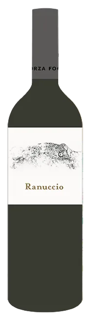 Ranuccio