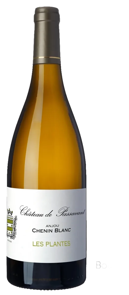 Les Plantes – Anjou Blanc