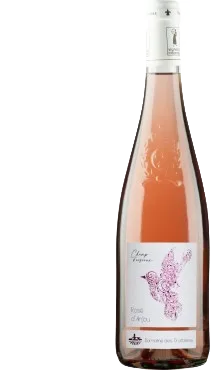 Rosé d'Anjou Champ d'Oiseaux