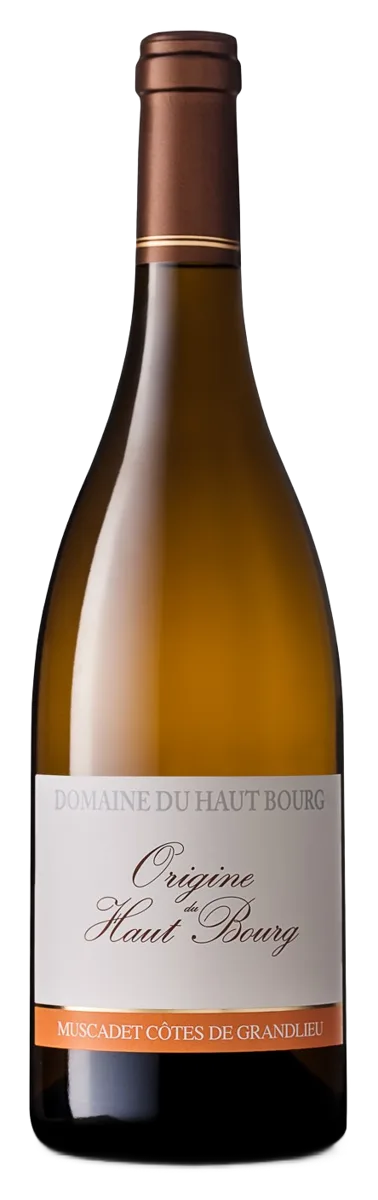 Muscadet-Côtes de Grandlieu Origine du Haut Bourg