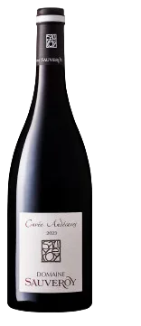 Andécaves