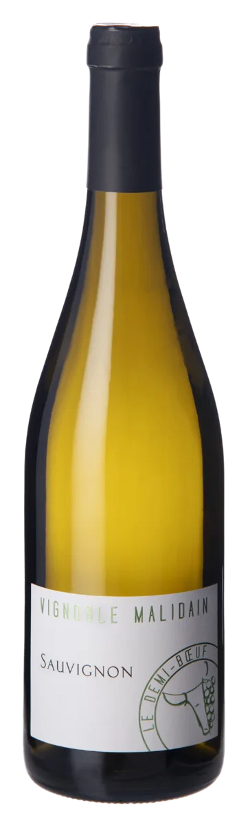 Sauvignon