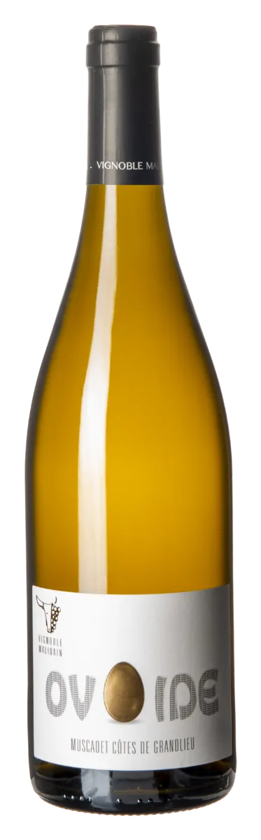 Muscadet Ovoïde