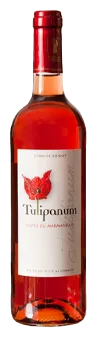 Tulipanum rosé