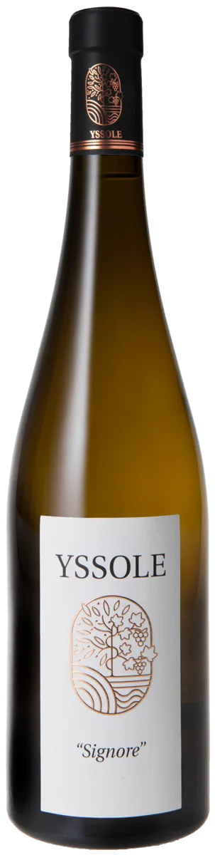 Signore Blanc