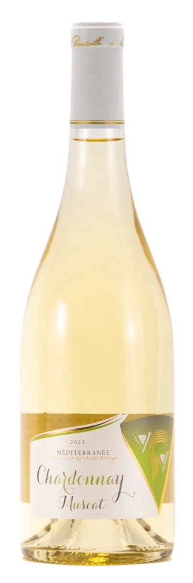 Chardonnay-Muscat blanc 2025 vin de pays du var IGP