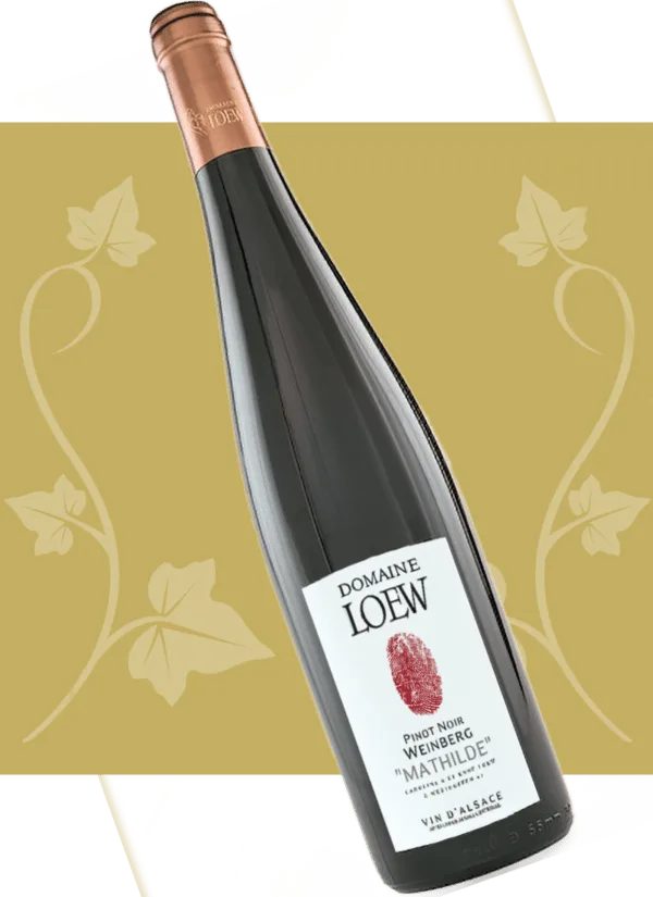 Pinot Noir Weinberg rouge « Mathilde »