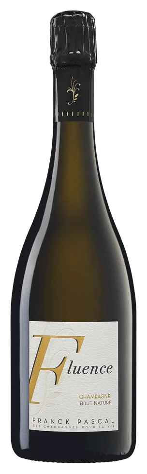 Fluence Brut Nature