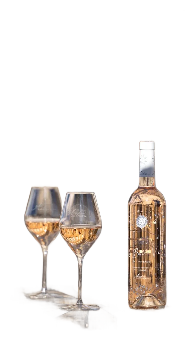 LA BELLE VIE EN PROVENCE - rosé BIO