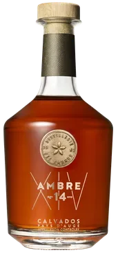 Ambre XIV