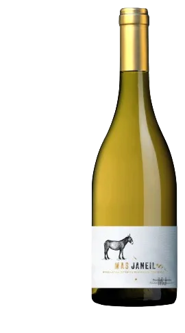 Mas Janeil Blanc "Traou de l'Ouille"