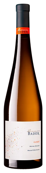 Muscat Petits Grains Gottloff