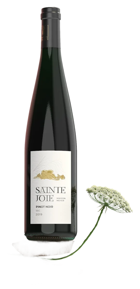 PINOT NOIR