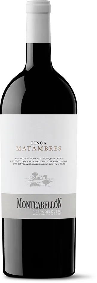 Monteabellón Finca Matambres