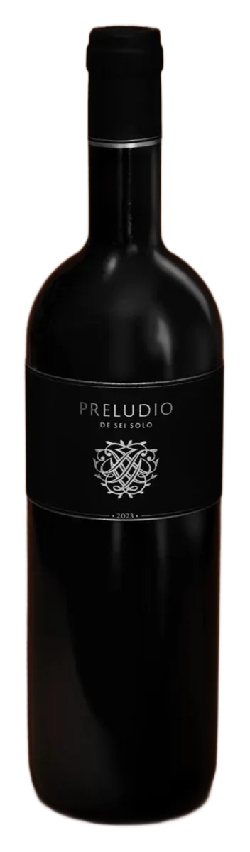 Preludio de Sei Solo