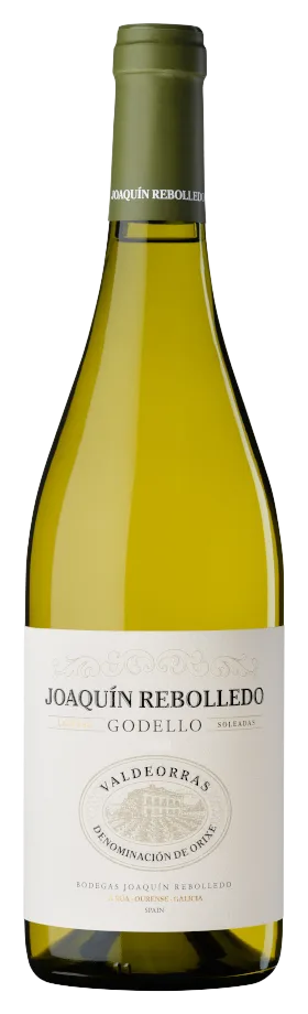 Joaquín Rebolledo Godello