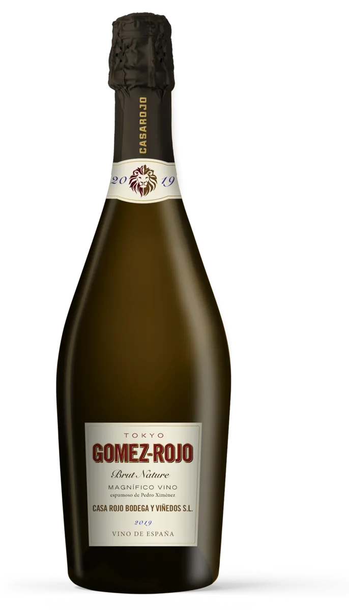 Tokio Gómez Rojo