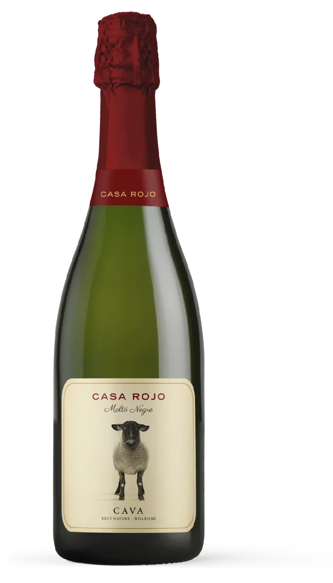 Moltó Negre